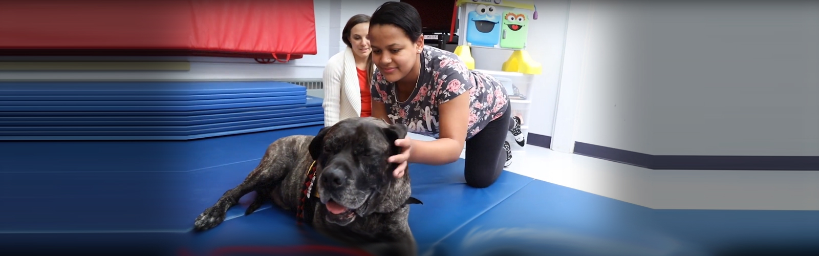 A patient petting a mastiff on a mat.