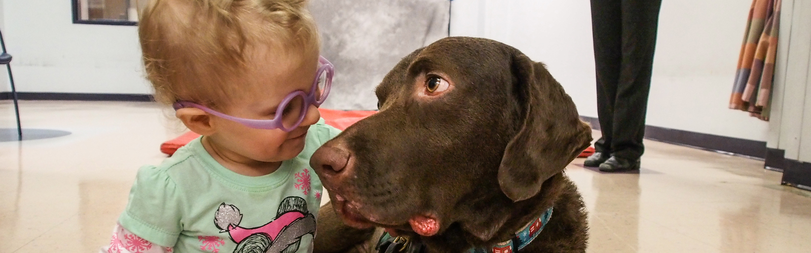 A child interacts with a dog during therapy.