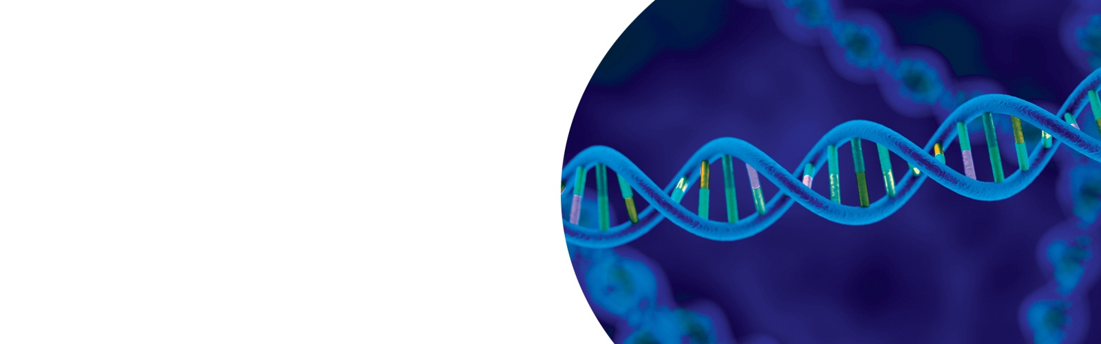DNA Strand 