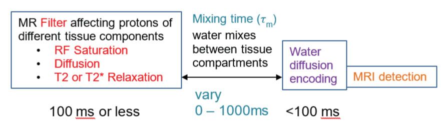 MRI Process Flow