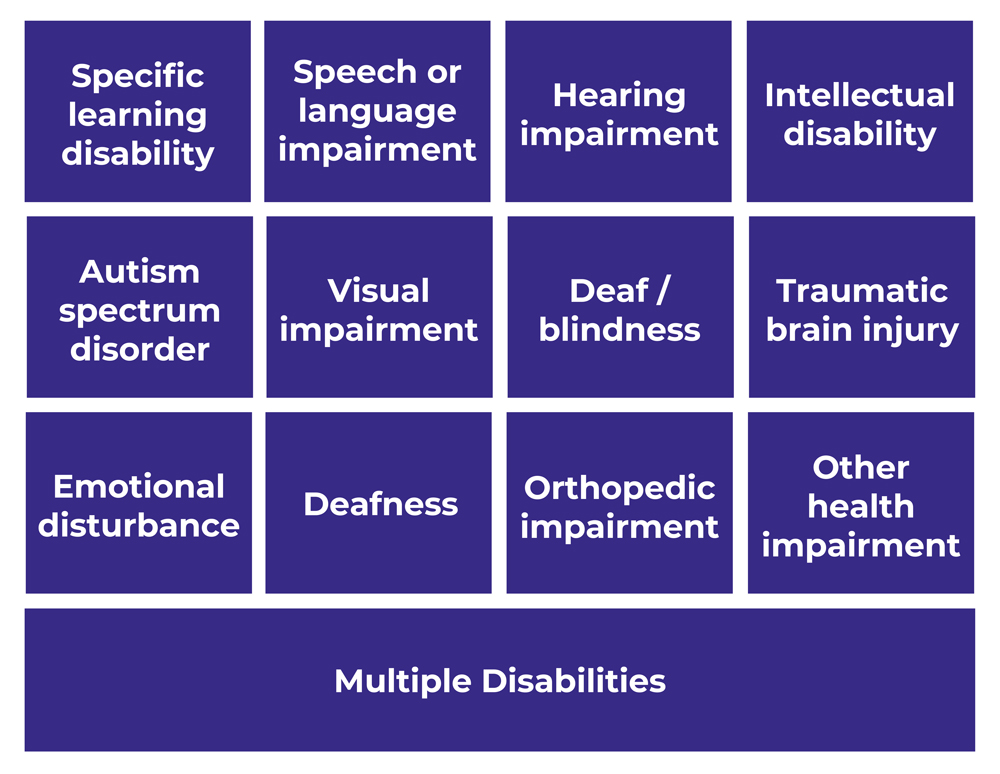 Purple squares and rectangles showing the following text. Specific learning disability Speech or language impairment Hearing impairment Intellectual disability Autism spectrum disorder Visual impairment Deaf - blindness Traumatic brain injury Emotional disturbance Deafness Orthopedic impairment Multiple Disabilities.