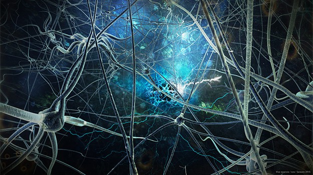 chat-neurons-head-625x350.jpg