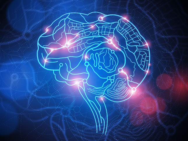 A light blue outline of a brain with light pink lines against a dark blue and black backdrop.