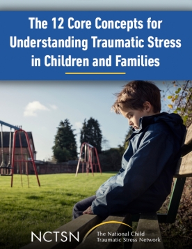12 core concepts for understanding traumatic stress handbook.