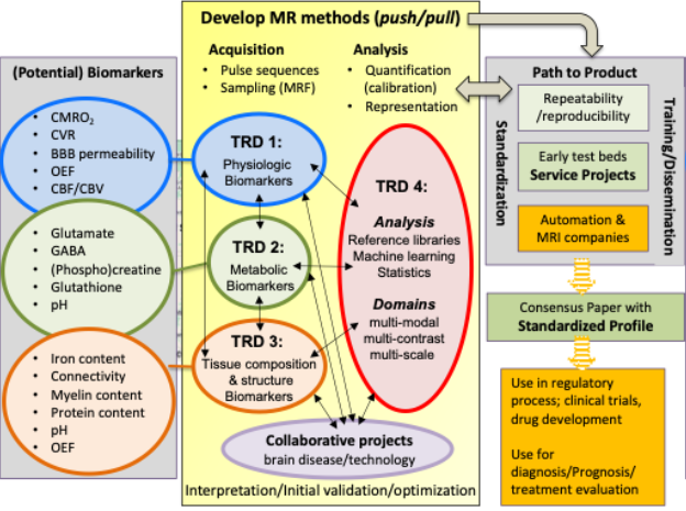 The process for technical developments and deliverables for our National Center for Biomedical Imaging and Bioengineering (NCBIB).Abbreviations: CMRO2: cerebral metabolic rate of oxygen; CVR: cerebrovascular reactivity; BBB: Blood brain barrier; OEF: oxygen extraction fraction; CBF: cerebral blood flow; CBV: cerebral blood volume; pH: measure of acidity; MRF: magnetic resonance fingerprinting;