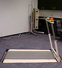 Split-belt Treadmill
