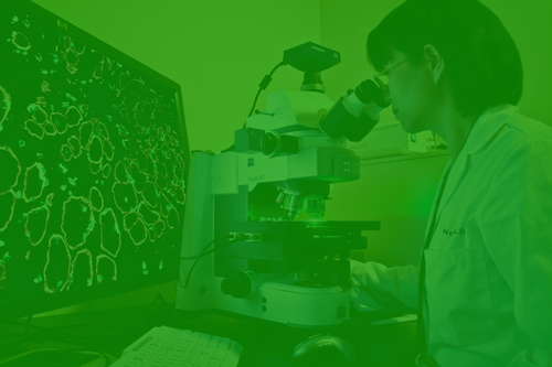 Kennedy Krieger Research