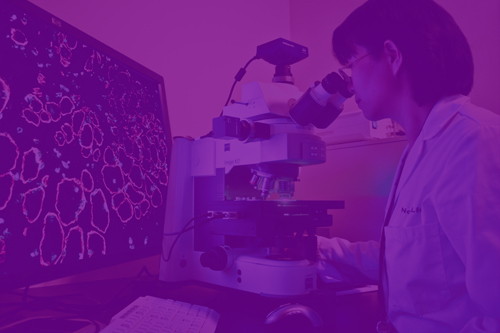 Kennedy Krieger Research