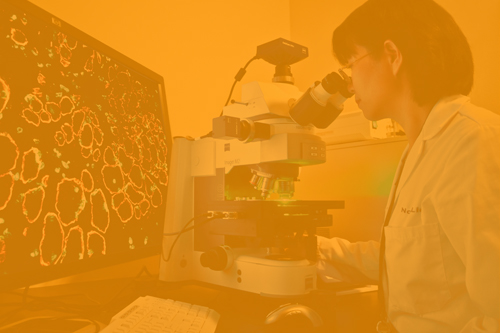 Kennedy Krieger Research