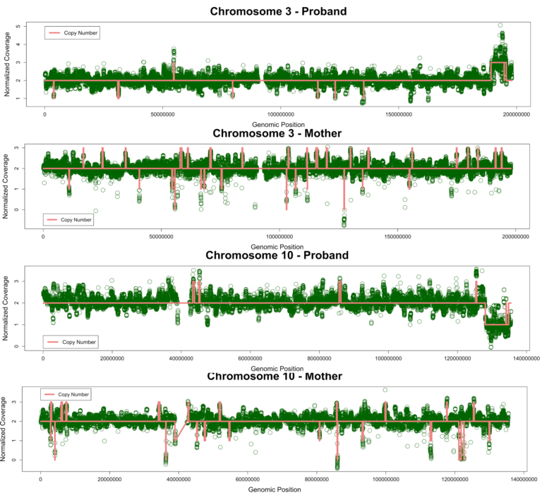 Whole genome optical mapping results