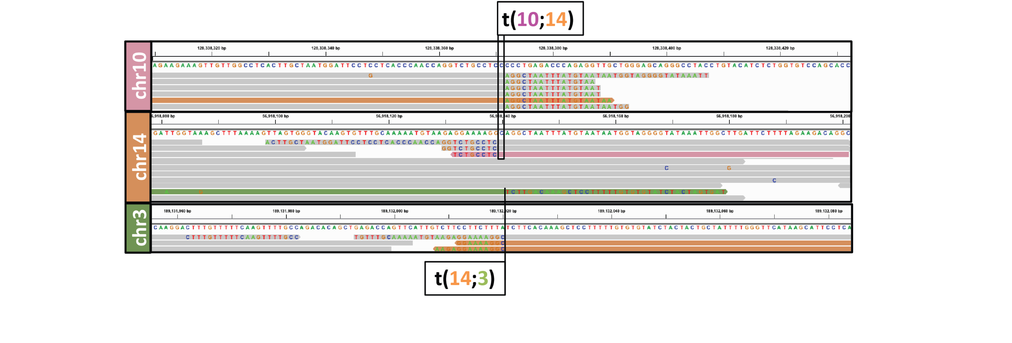 Whole genome sequencing