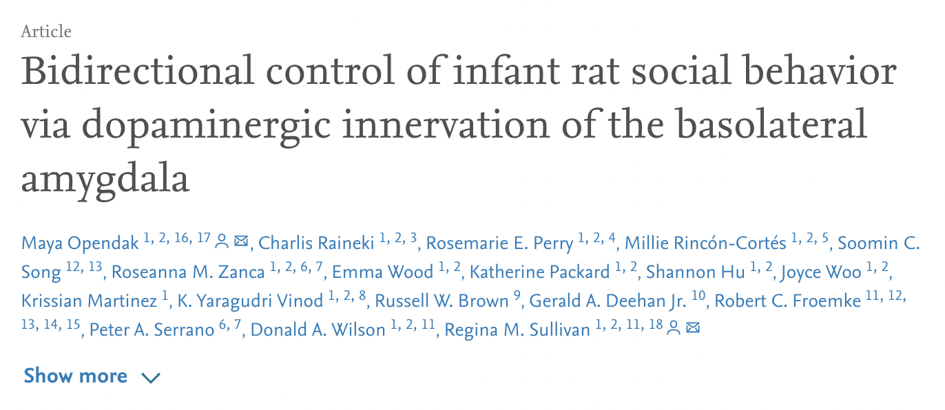 Bidirectional control of infant rat social behavior via dopaminergic innervation of the basolateral amygdala online article headline.