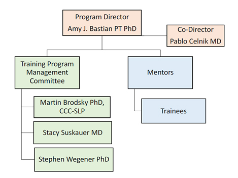 A diagram of the leadership structure. Dr. Amy Bastian is the program director with Dr. Pablo Celnik serving as Co-Director. The directors govern the mentors who govern the trainees. The directors also oversee the training program management committee comprised of Dr. Martin Brodsky, Dr. Stacy Suskauer, and Dr. Stephen Wegener.