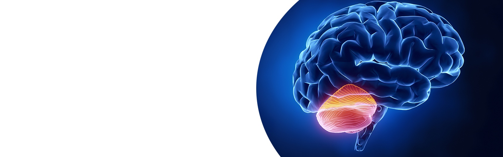 MRI of a human brain against a blue backdrop.