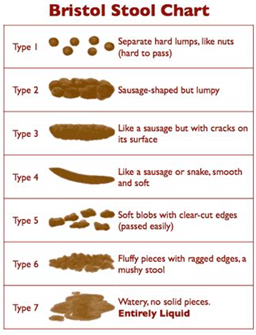 bristol_stool_chart.png