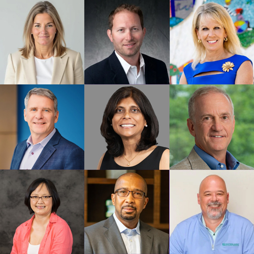 Three-row collage featuring headshots of new board members. Top Row Left to Right: Dulany Reeves Dent, Erik Howard, Sandy Pagnotti Mayhew Middle Row Left to Right: Andrew Miller, Dr. Anju Rao, Peter Rosenwald Bottom Row Left to Right: Dr. Joyce Wong, K. Patrick Davis, Michael Hood