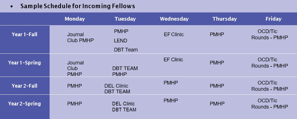 A chart showing the sample schedule for incoming fellows. 