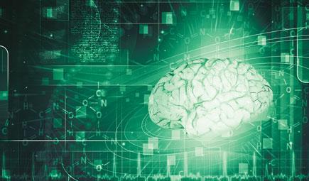 What is SYNGAP1? Learn About This Rare Disease and How Our Brains Work ...