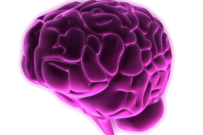 Illustration of a pink and purple brain against a white backdrop.