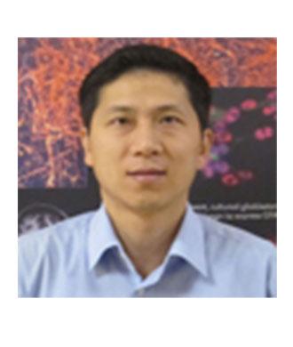 Mingyao Ying, PhD headshot. 