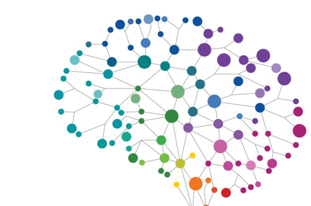 A colorful outline of a brain.